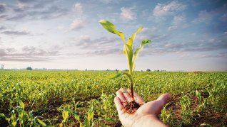 Según la consultora EY, la transformación digital se posiciona como un pilar indispensable para alcanzar nuevos niveles de eficiencia en el campo.