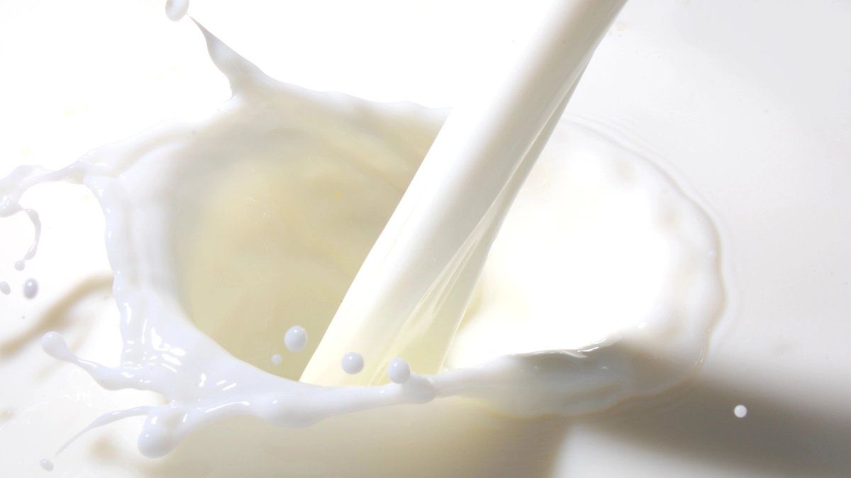 Dairy sales rebounded, but remain below expectations for 2023