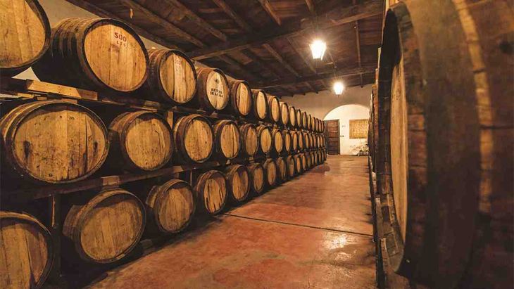 Qué hacer en Parras de la Fuente, Coahuila Qué hacer en Parras de la Fuente, Coahuila