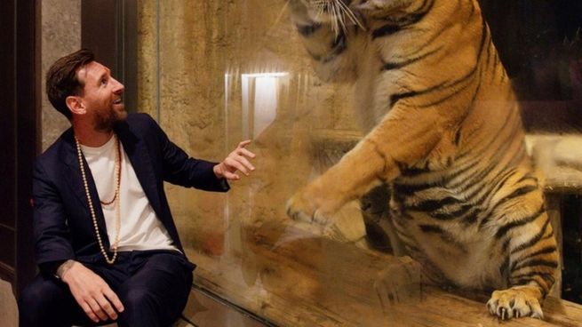 Lionel Messi junto a un tigre en la India.