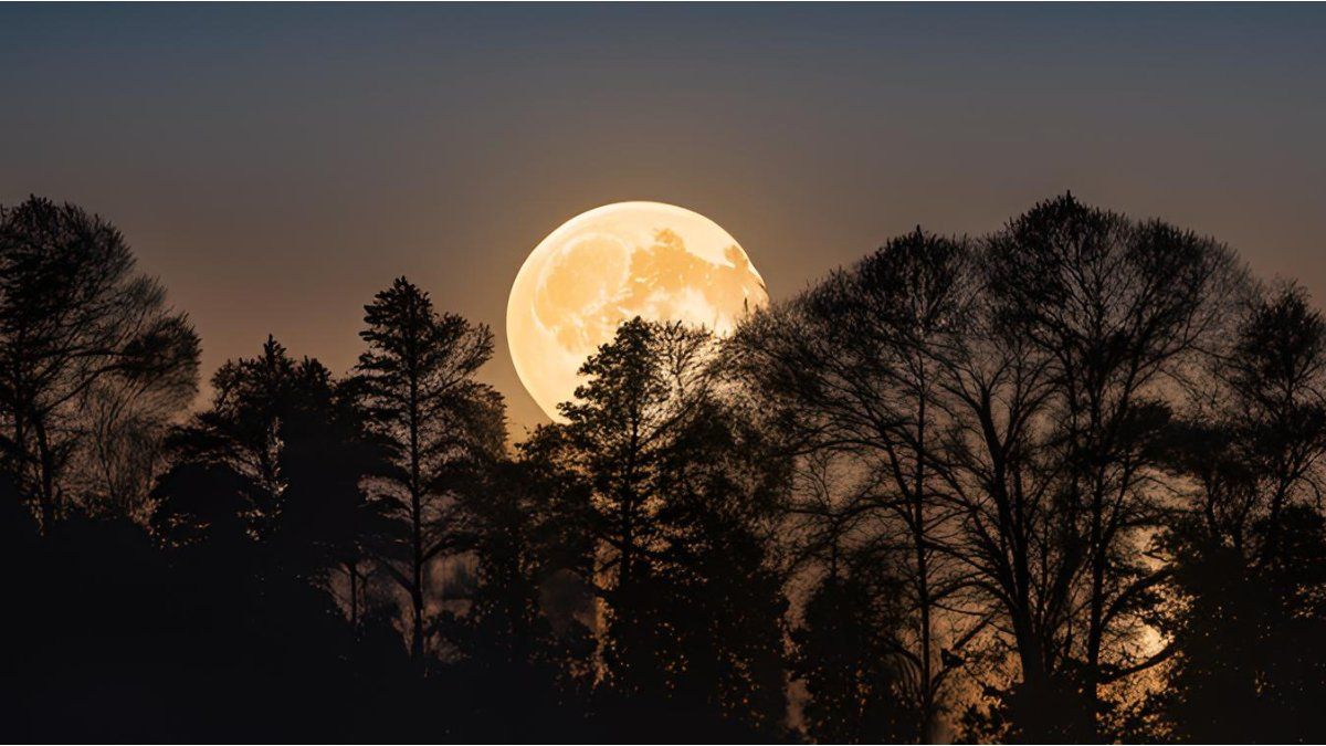 Beaver Moon 2024: how and where to see the last supermoon of the year