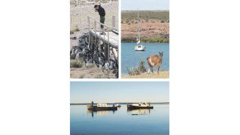 ámbito.com | Las rutas 3 y 1 circulan a la vera del mar en el golfo San Jorge y vinculan con pingüineras, un curioso club náutico poblado deguanacos y costas con bahías, caletas y mansas aguas azules.