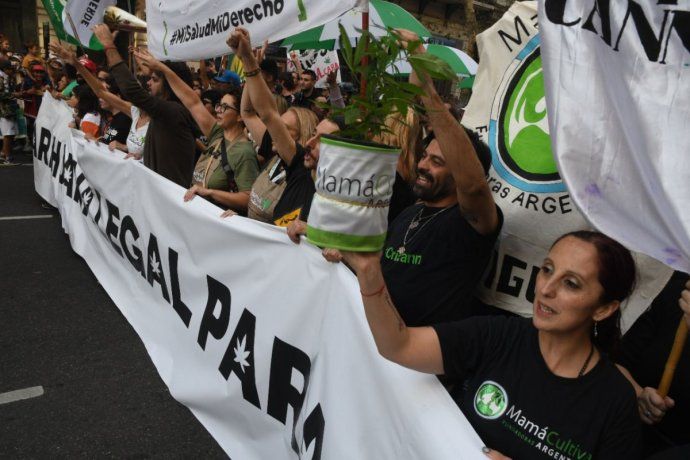 Marcha Mundial de la Marihuana: numerosas personas y organizaciones se  movilizan al Congreso de la Nación