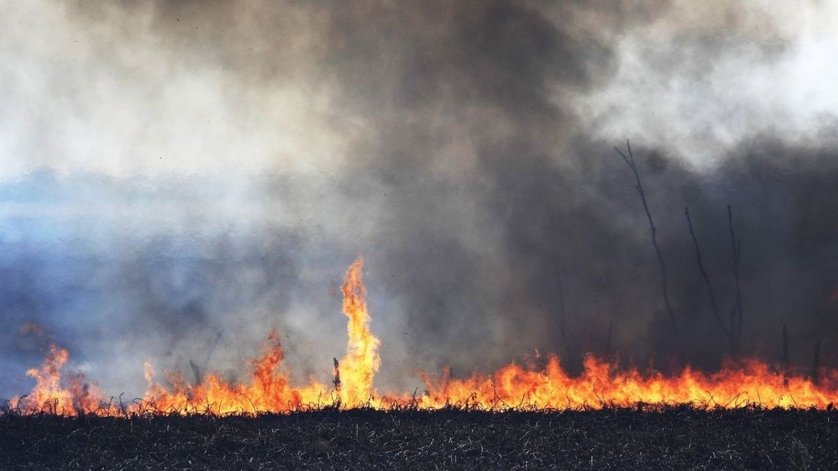 Jujuy, Córdoba, Catamarca y La Rioja presentan focos de incendios forestales activos