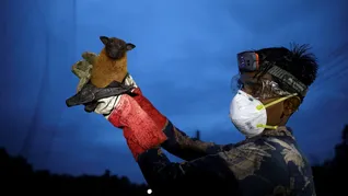 El foco se originó en un hospital de Bengala Occidental, donde se detectaron contagios entre trabajadores de la salud. El foco se originó en un hospital de Bengala Occidental, donde se detectaron contagios entre trabajadores de la salud.