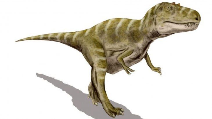 El ejemplar fue encontrado en 2018 en la formaci&oacute;n del r&iacute;o Judith cerca de Havre.