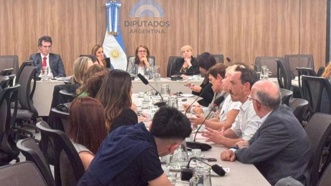Directivos del Hospital Italiano y familiares de víctimas se encontraron en la Cámara de Diputados.