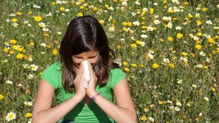 La alergia de primavera y sus sintomas.&nbsp;
