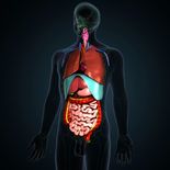 cuando el corazon, los rinones y el metabolismo tienen algo para decir del paciente