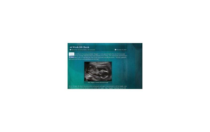En www.birthornot.com la pareja estadounidense consulta a los internautas si deben o no tener a su hijo.