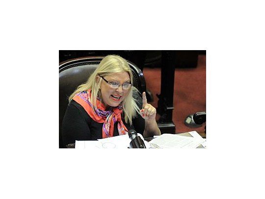 Elisa Carrió
