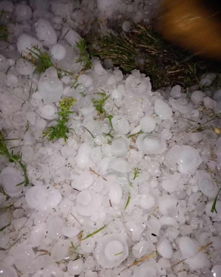 Distintas zonas se vieron afectadas por al caída de granizo. Distintas zonas se vieron afectadas por al caída de granizo.