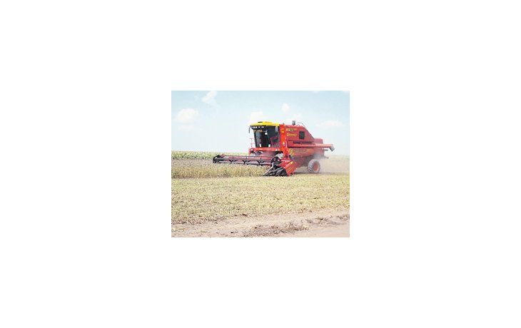 Desde el Gobierno estiman que la producción de soja oscilará entre 50 y 52 millones de toneladas.