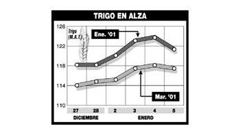 ámbito.com | Las lluvias trajeron alivio para la soja