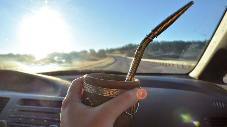 Mate. Mate.