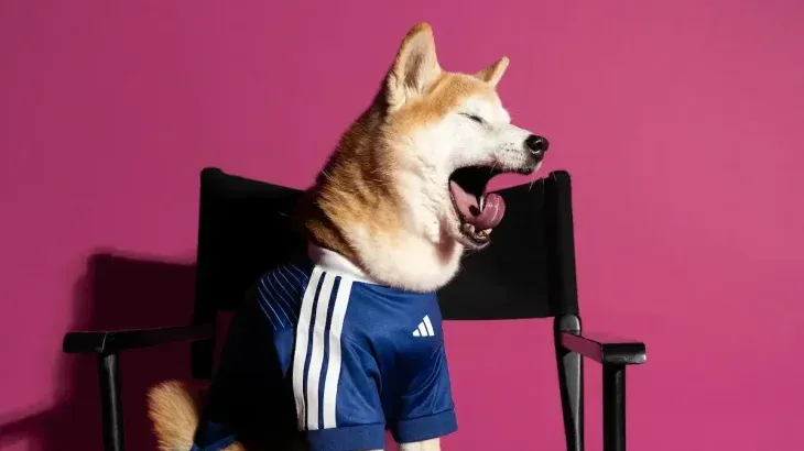 Adidas apunta a que las mascotas también jueguen su propio papel como hinchas durante el Mundial 2026.