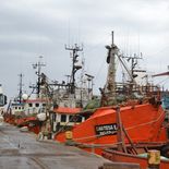 La industria pesquera cerró el 2025 con exportaciones por u$s 111,9 millones pese al conflicto sindical. La industria pesquera cerró el 2025 con exportaciones por u$s 111,9 millones pese al conflicto sindical.