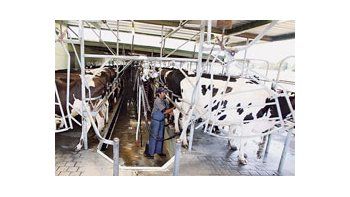 Los autoconvocados denuncian que los tamberos no reciben $ 1 por litro de leche (como firmaron el Gobierno y las empresas), sino entre $ 0,69 y $ 0,72 por litro.