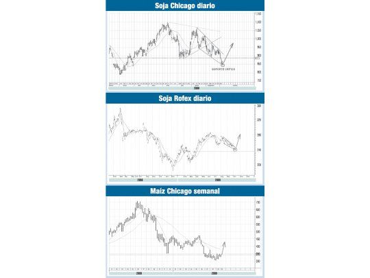 La soja enfrenta importantes soportes