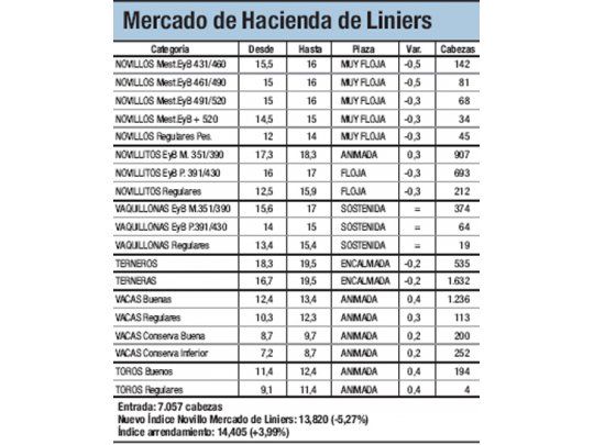 Mercado de Liniers: novillo cayó 5,27%