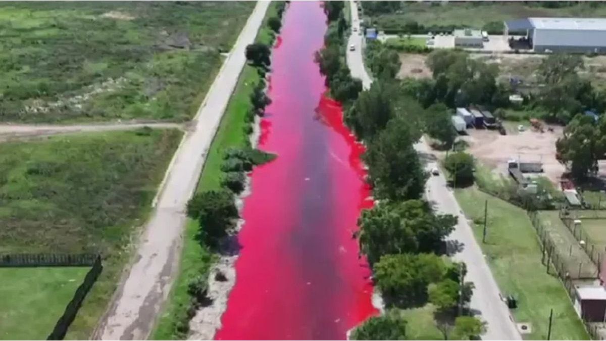 Avellaneda: The Sarandí stream was dyed red and alarmed the inhabitants of the area