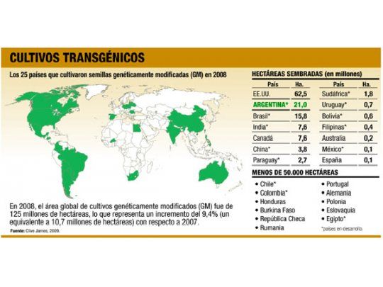 Cosecha récord de transgénicos