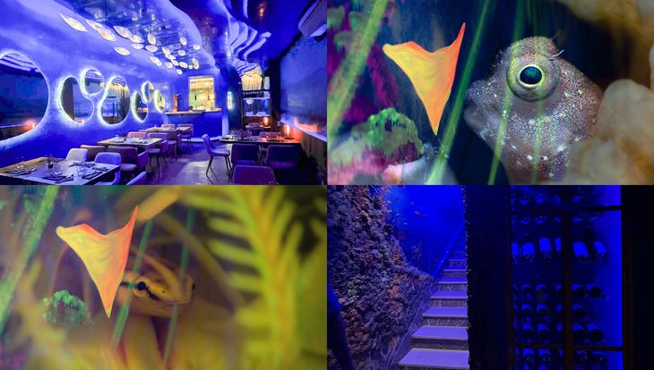 Seven seas proposes a multisensory experience with fusion kitchen and underwater setting. Seven seas proposes a multisensory experience with fusion kitchen and underwater setting.