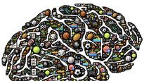 los mejores deportes para la salud del cerebro: ¿futbol si o no?