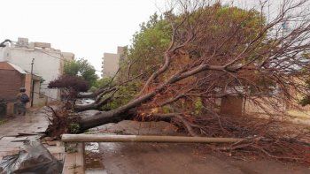 el temporal de viento causo destrozos y danos en el conurbano