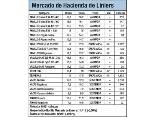 Ingresaron 9.081 cabezas a Liniers