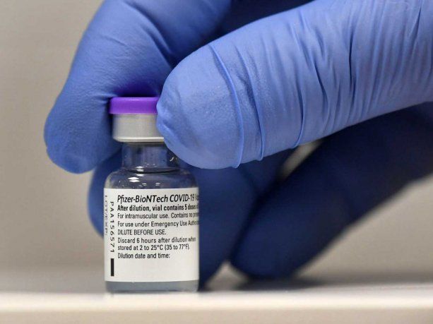 Llega al país el primer cargamento de vacunas de Pfizer. Llega al país el primer cargamento de vacunas de Pfizer.