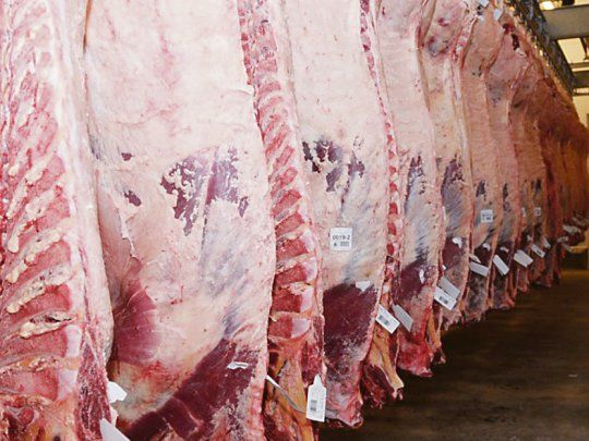 La exportación de carne a China cayó un 43% interanual en octubre.