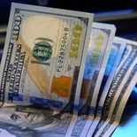 Cotización del dólar blue.