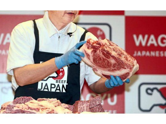 Carne Wagyu japonesa