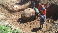 Gliptodonte en Santiago del Estero.&nbsp;