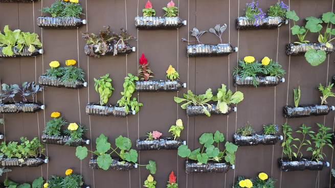 La guía definitiva para cultivar en macetas y no fallar en el intento.&nbsp;