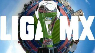 Finalizó la Jornada 17 y con ella la fase regular del Torneo Apertura, quedando clasificados los equipos para la Liguilla y para el Play In.