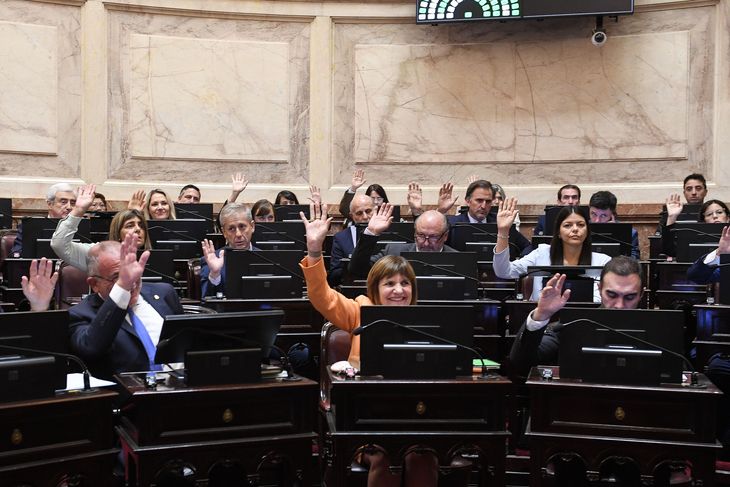 El tercio de La Libertad Avanza trabó la declaración peronista en rechazo a la dictadura. El tercio de La Libertad Avanza trabó la declaración peronista en rechazo a la dictadura.