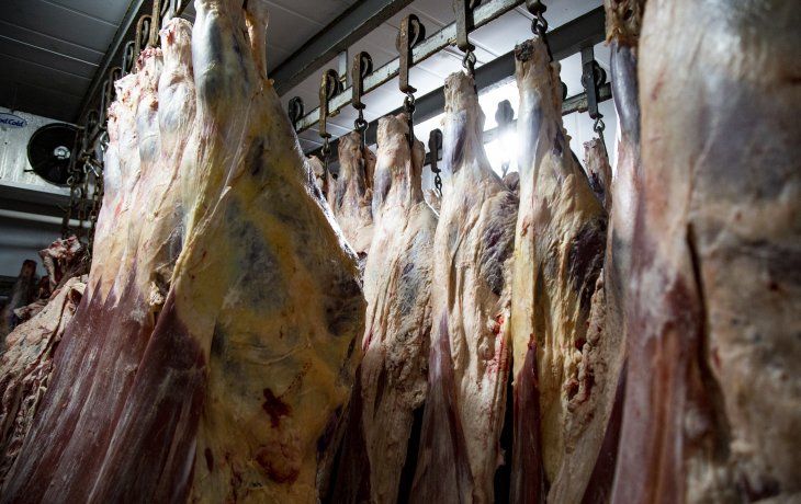 el gobierno autorizo la exportacion de carne vacuna a china