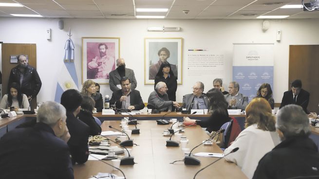 tándem. Las comisiones de Industria (Marcelo Casaretto) y de Presupuesto (Carlos Heller) de Diputados llevaron a disertantes de los sectores sindical y empresarial para bloquear la postura de la oposición macrista.