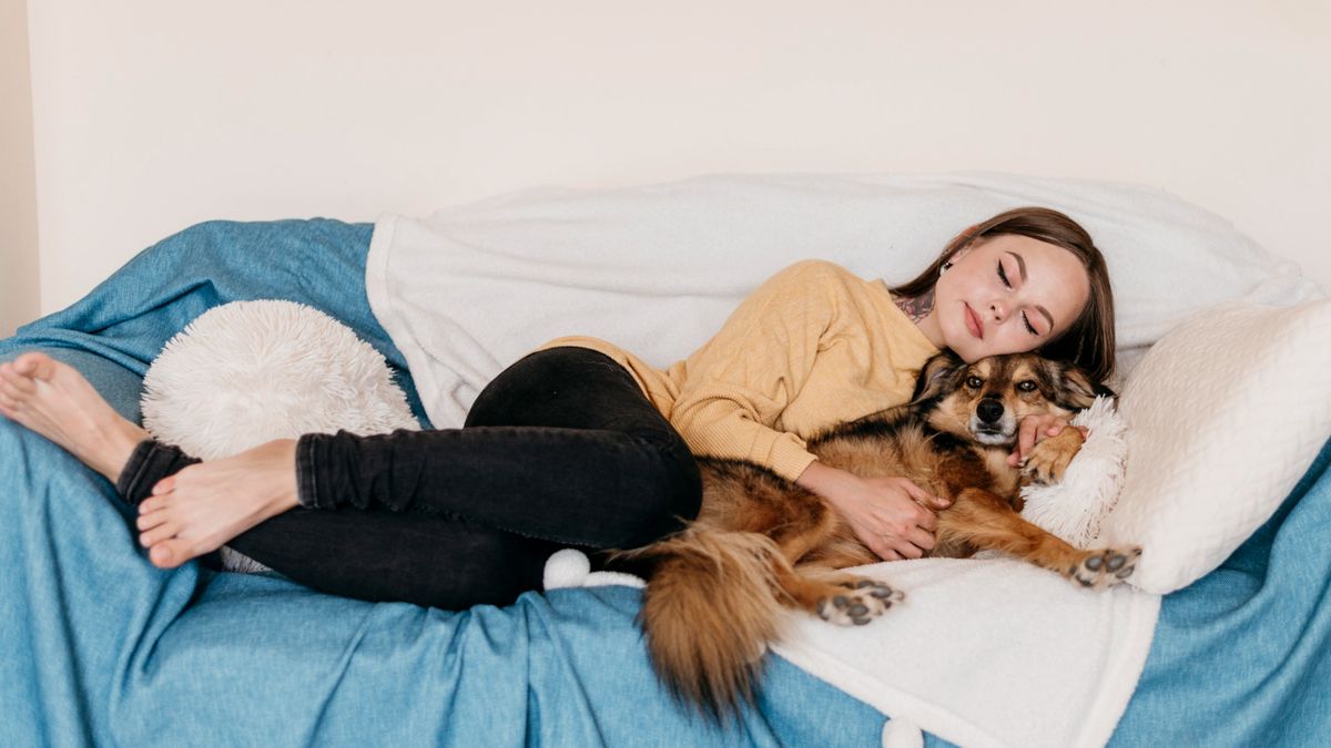 Pets: these are the least dangerous and most affectionate breeds
