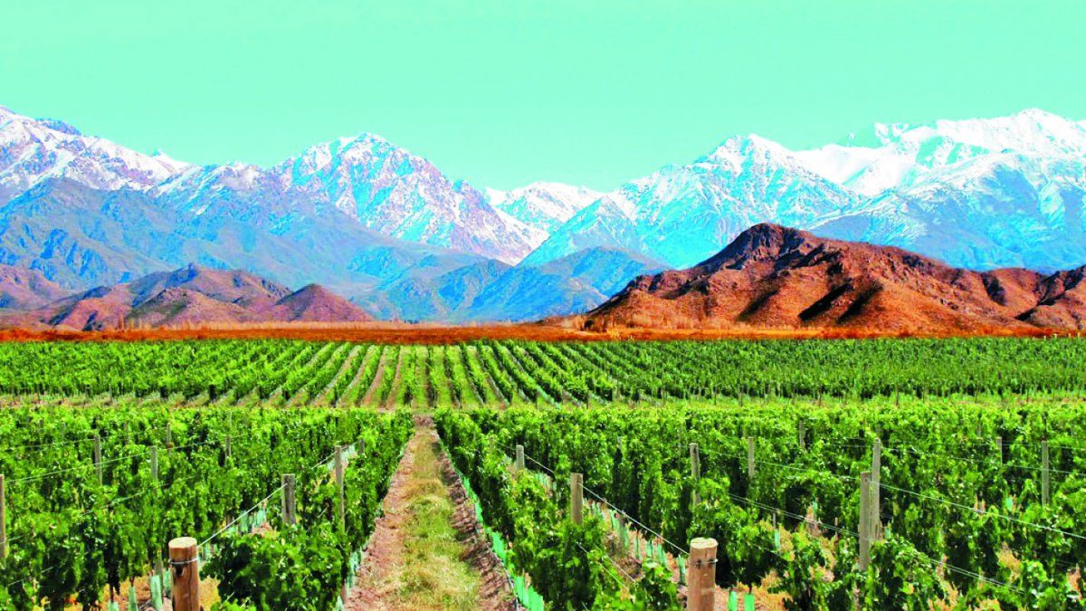 En la celebración de la Vendimia, la industria del vino se mostró dividida