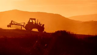 Las exoneraciones fiscales de IVA e IRAE contempladas en la Ley de Promoción de Inversiones operan como el principal imán para atraer capitales extranjeros hacia la metalmecánica local del agro. Las exoneraciones fiscales de IVA e IRAE contempladas en la Ley de Promoción de Inversiones operan como el principal imán para atraer capitales extranjeros hacia la metalmecánica local del agro.
