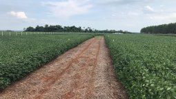 todo listo para la suba de retenciones al agro