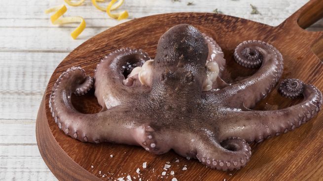 Pulpo, una estrella en la Semana Santa.