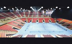 Argentina-Francia se haría en Montpellier (foto 1)