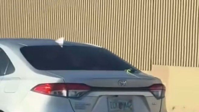 &nbsp;El estado más conocido por sus playas y temperaturas cálidas, estaría travesando situaciones ambientales complejas.&nbsp;