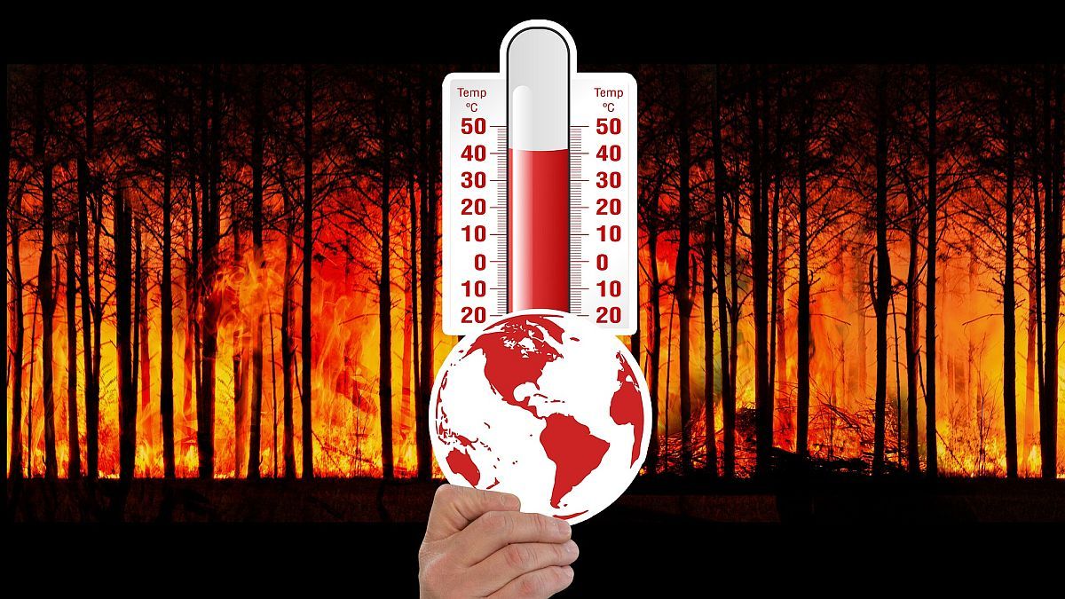 Calentamiento global: estudio señala que harán falta 30 años para bajar la  temperatura del planeta