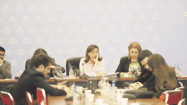 Pedidos. Cecilia Moreau comandó la primera reunión para escuchar más de 40 exposiciones -de 21 distritos- sobre la ley de alquileres.