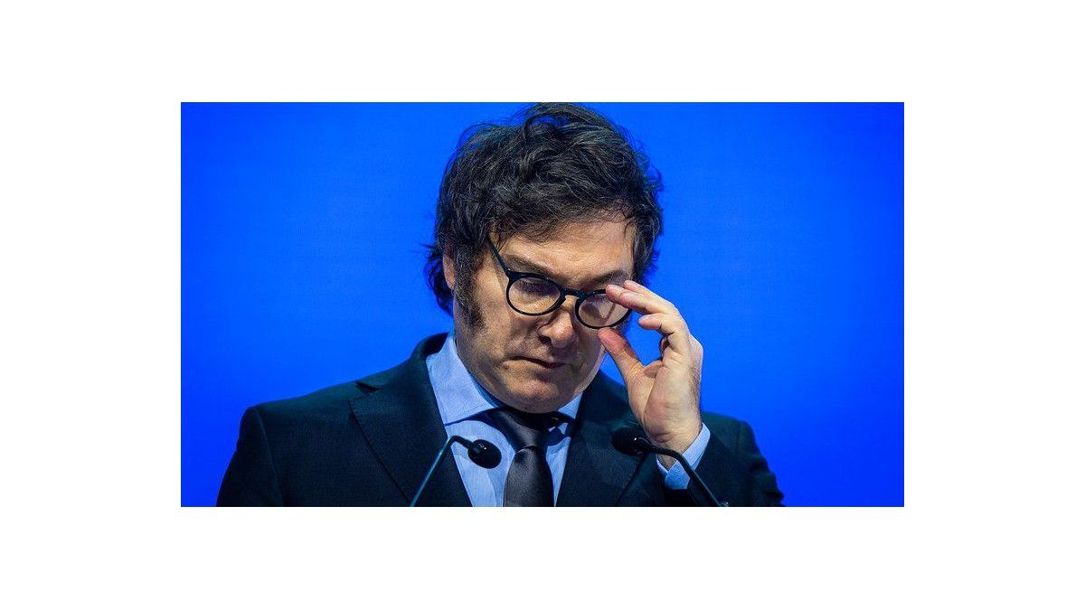 Democracy in check: institutional erosion, legitimacy in crisis and the Argentine crossroads under the government of Javier Milei (part II)